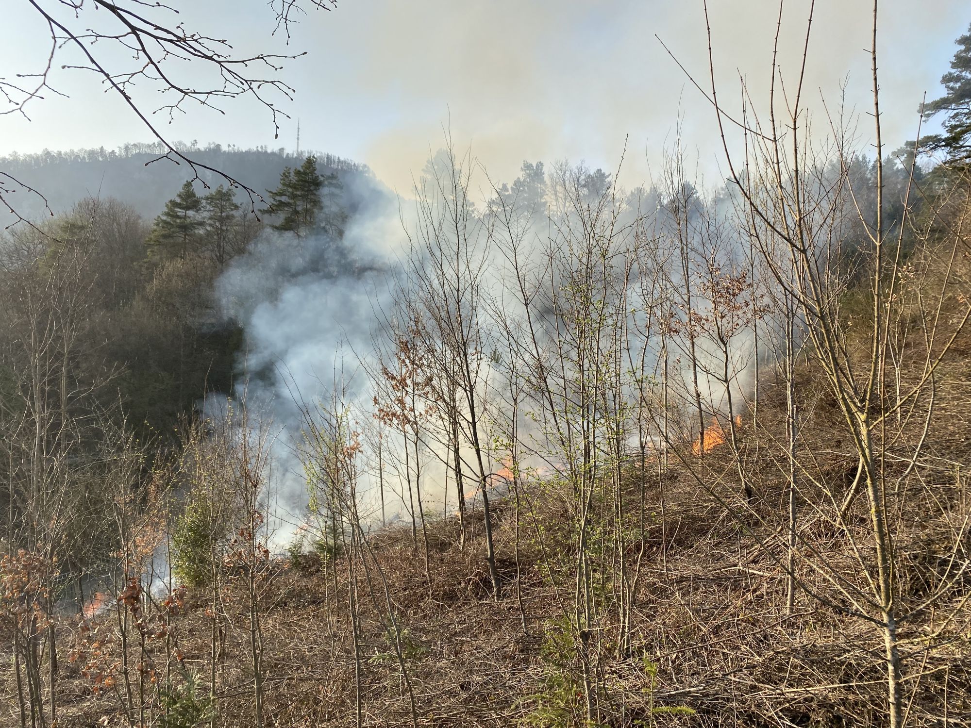 Grellingen Bl Brandausbruch Im Bewaldeten Gel Nde Zeugenaufruf