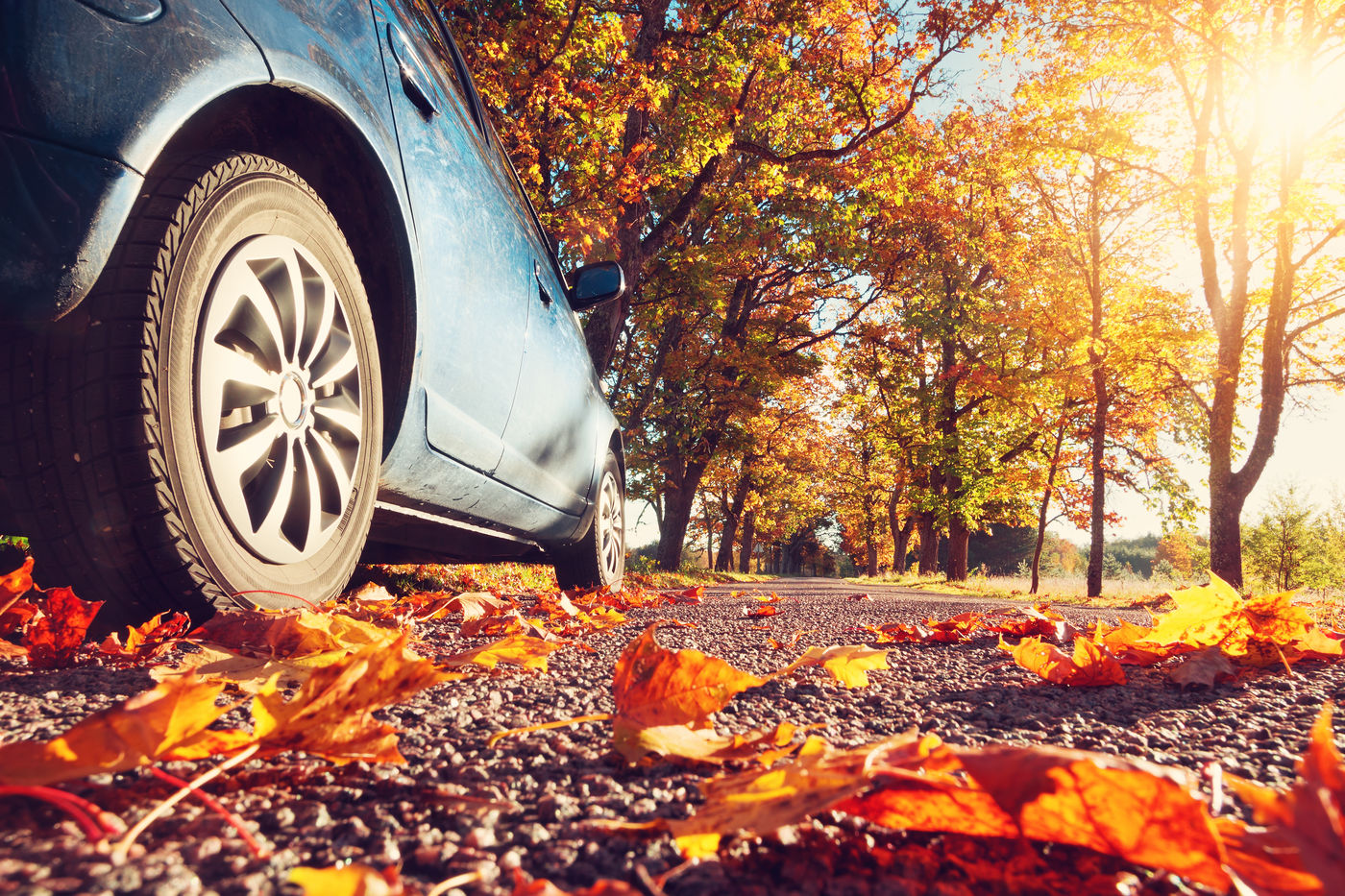 Unterwegs Im Herbst Gute Sichtbarkeit F R Alle Verkehrsteilnehmer