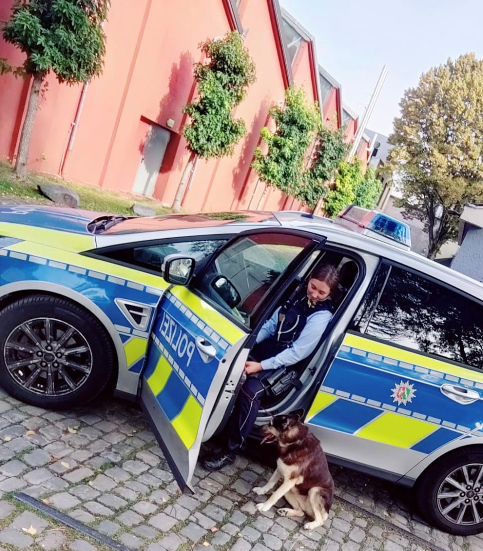 Entlaufener Hund H Lt Polizei In Atem Polizei News