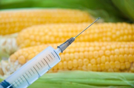 Monsanto möchte seine Marktposition ausbauen. 