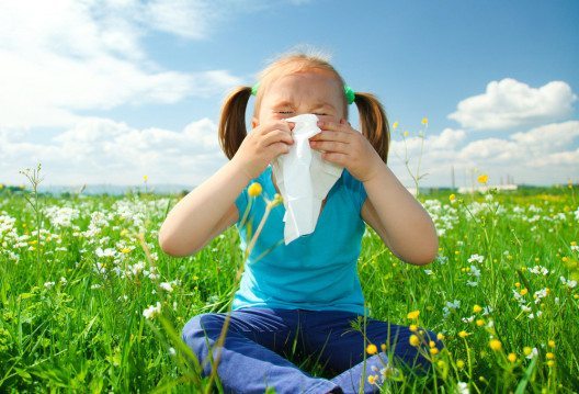 Zwischen 25 und 30 % der Kinder leiden an einer Pollenallergie. (Bild: Serhiy Kobyakov – Shutterstock.com)