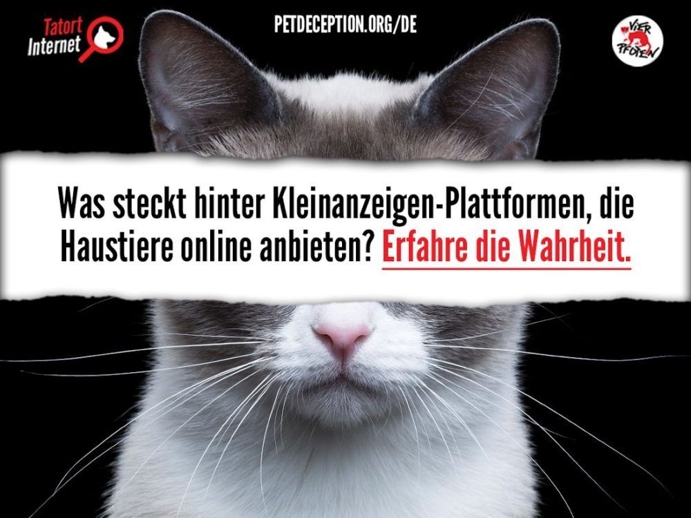 Tatort Internet Visual (Bild: © VIER PFOTEN)