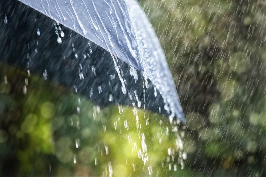 Mythos 1: Regen (Bild: © Brian A Jackson - shutterstock.com)