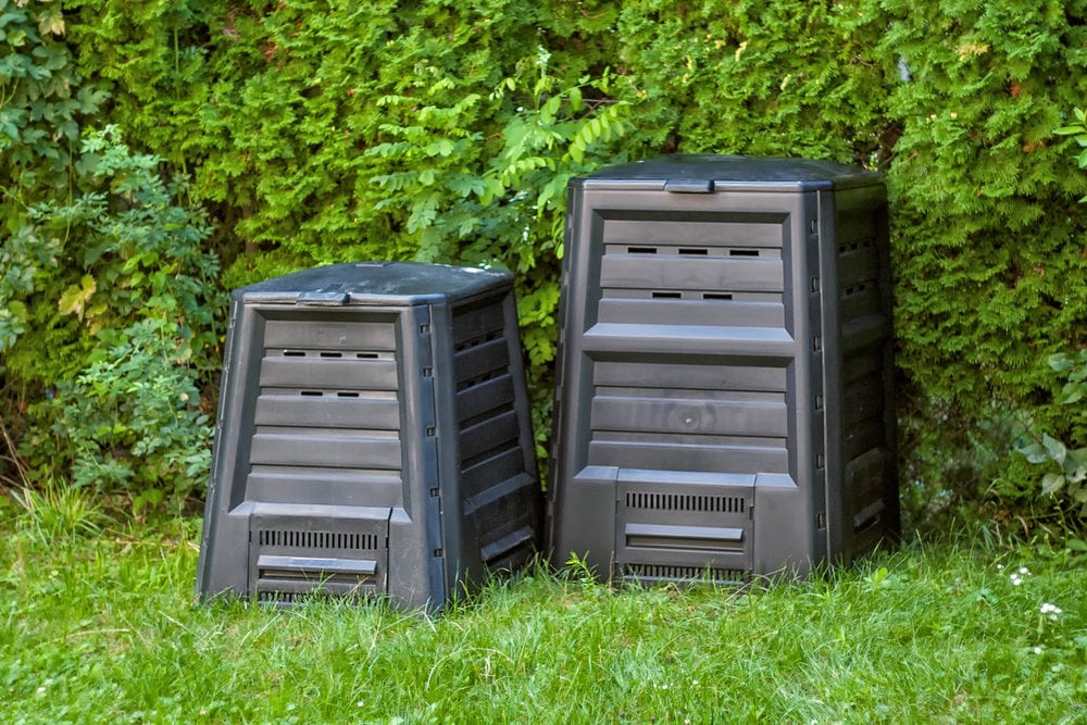 Komposthelfer leisten nützliche Dienste. (Bild: Gabor Havasi – shutterstock.com)