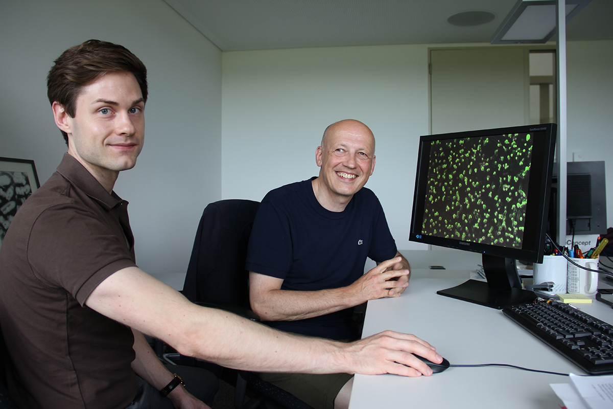 Ferdinand Zettl und Gert Zimmer vom IVI vor einer Aufnahme des von ihnen entwickelten Tests mit grün fluoreszierenden Zellen. (Bild: © BLV/Renate Boss) 