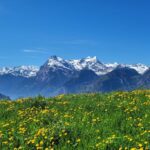 Wetter: Mehr Sonnenschein für die Schweiz