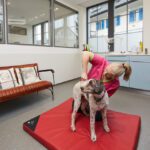 Tierarztpraxis zur Schmiede in Henggart ZH: Das Wohl Ihres Tieres in den besten Händen