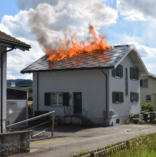 MEHR LESEN