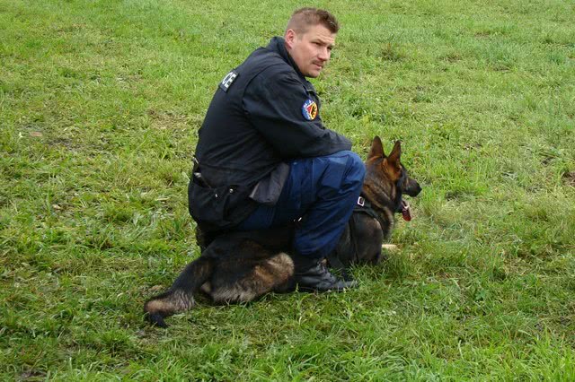 G-mligen-BE-35-j-hrige-nach-Angriff-schwer-verletzt-Diensthunde-sp-ren-T-ter-auf