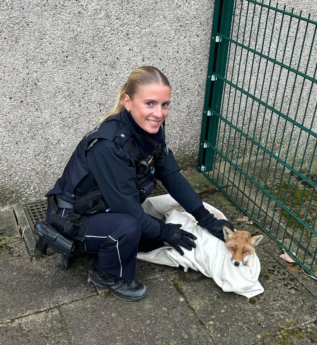 Herne-NRW-Fuchsabenteuer-Polizei-rettet-ver-ngstigtes-Tier-von-belebter-Kreuzung