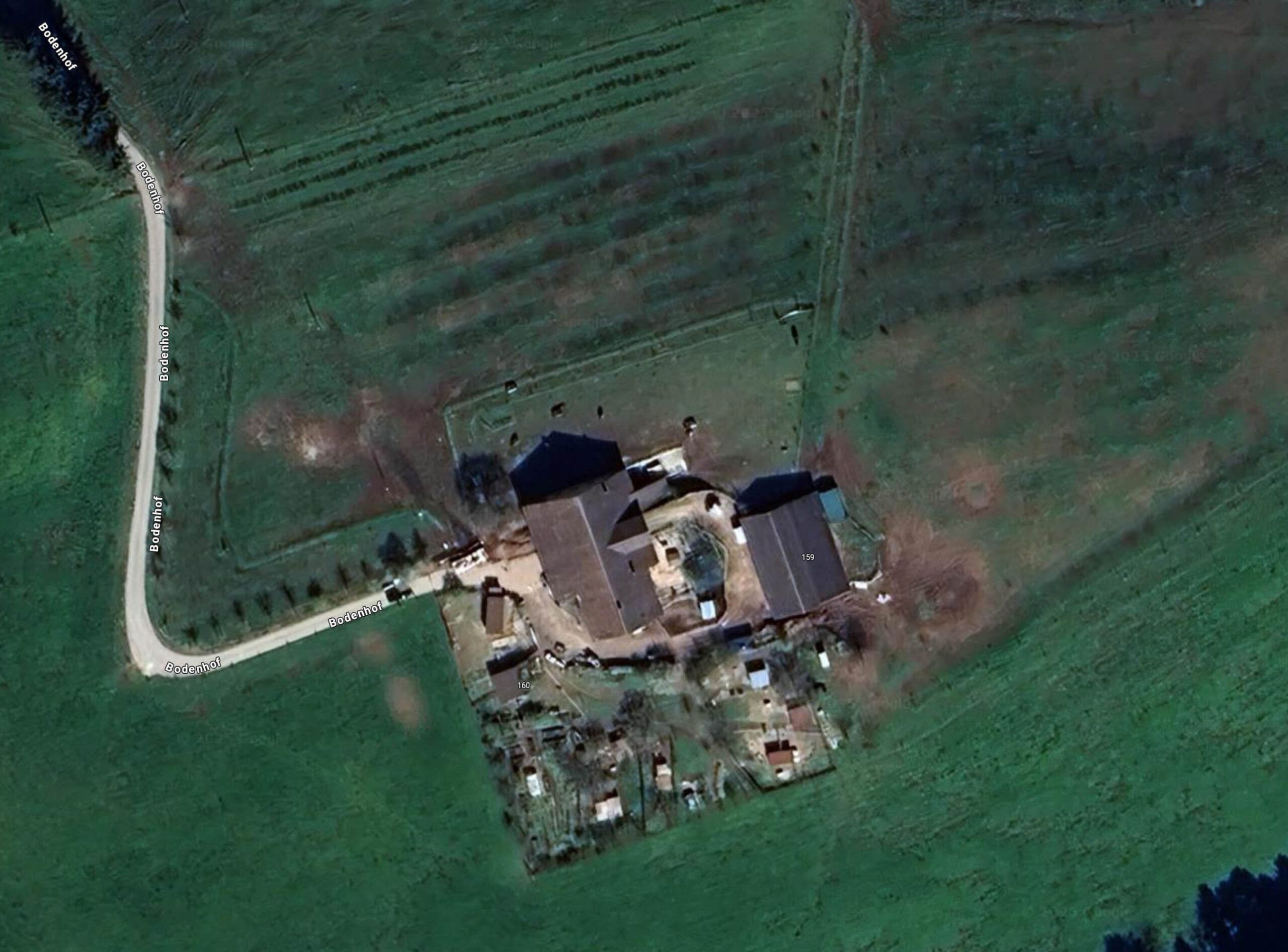 Ramiswil-SO-ber-100-verwahrloste-Hunde-eingeschl-fert-Pferde-und-Geissen-gerettet