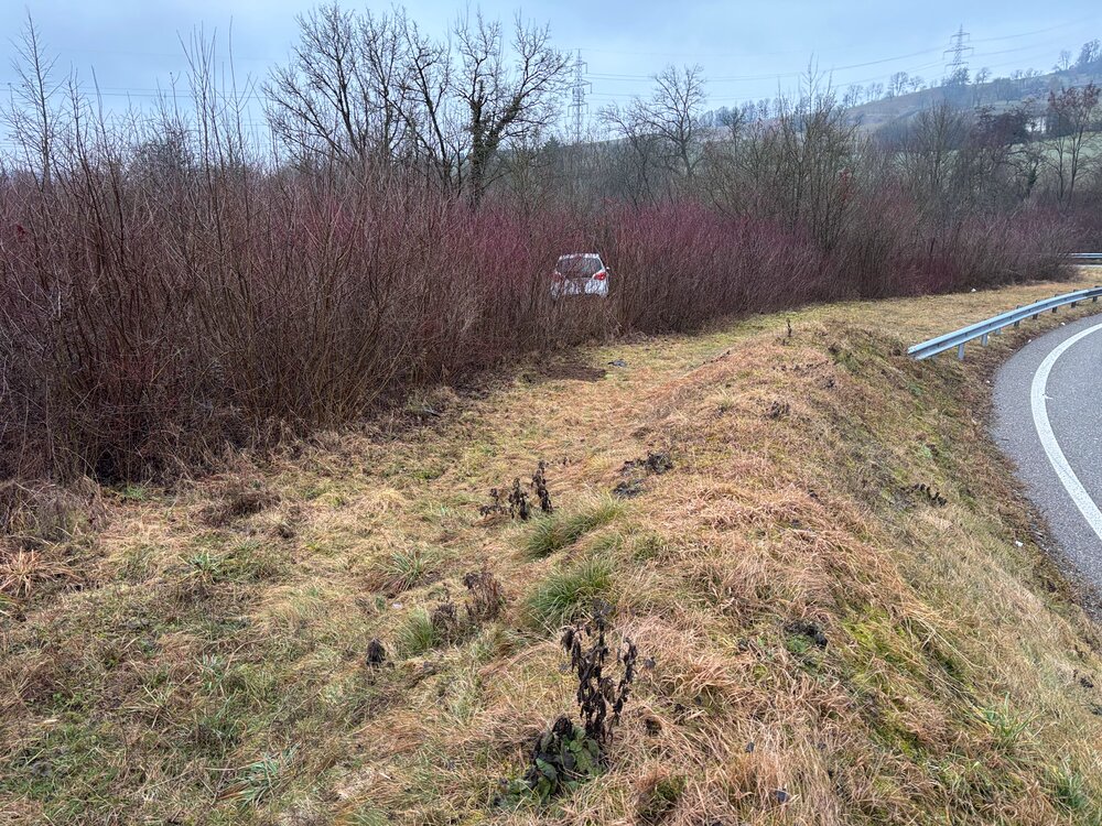 Frick-A3-AG-80-j-hriger-Automobilist-landet-alkoholisiert-im-Buschwerk