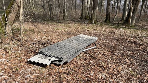 Oberböringen, BW: Giftiger Asbest im Wald entsorgt – Polizei sucht Umwelt-Sünder