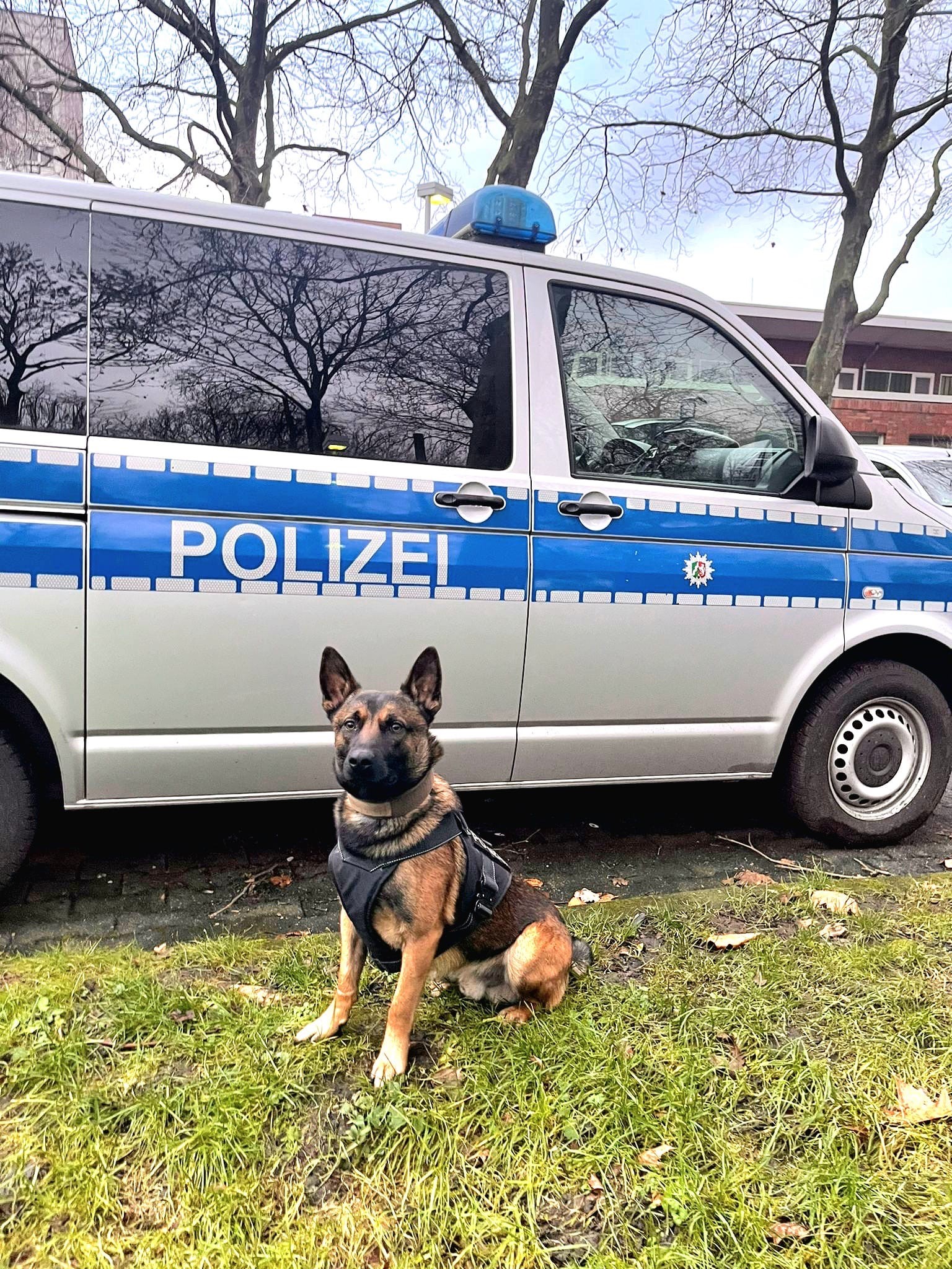 Dortmund, NRW: Gerüstteile geklaut – Diensthund „Nero“ stellt Täter auf Schrottplatz