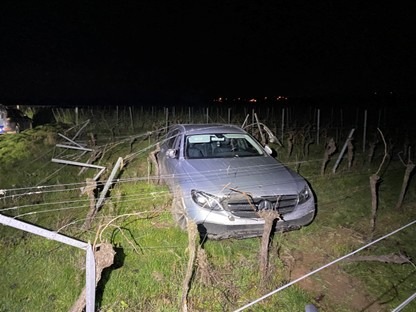 Edenkoben, Rheinland-Pfalz: Fahrer flüchtet nach Unfall in Weinbergen