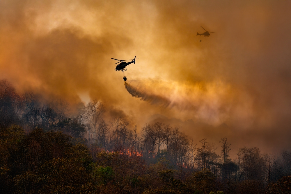 Spittal an der Drau, Kärnten: Großeinsatz bei Waldbrand in Namlach