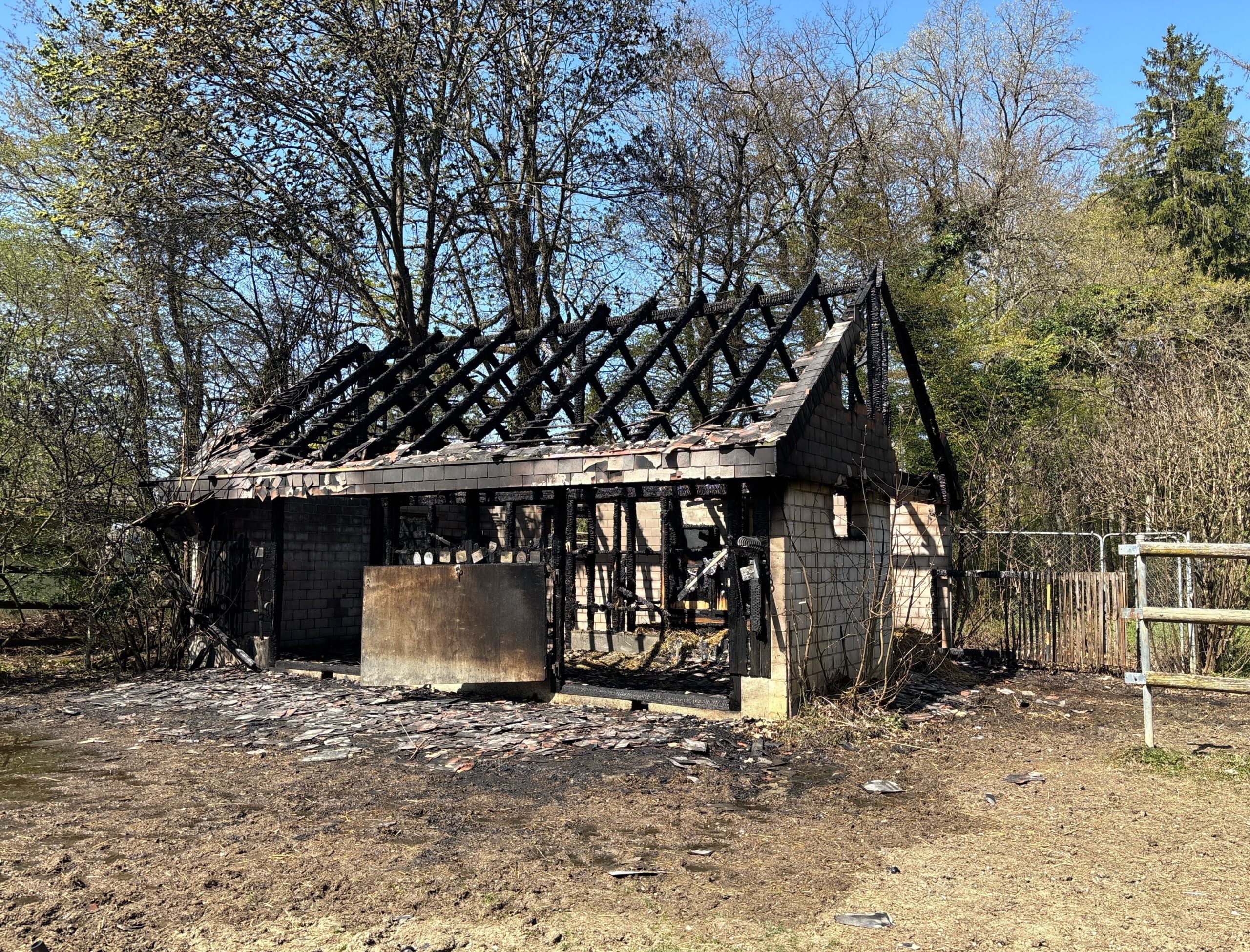 Hochwald SO: Pferdestall brennt komplett nieder – Fahrlässigkeit vermutet