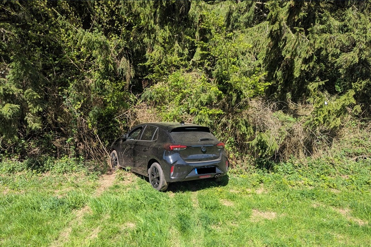 Börrstadt, Rheinland-Pfalz: Autofahrer weicht Wildschweinen aus und verunglückt