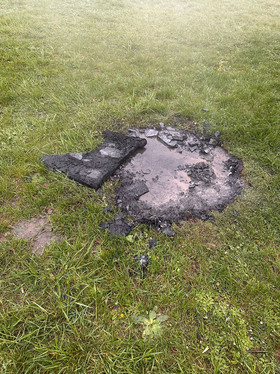 Allensbach, Baden-Württemberg: Kleiner Flächenbrand schnell gelöscht