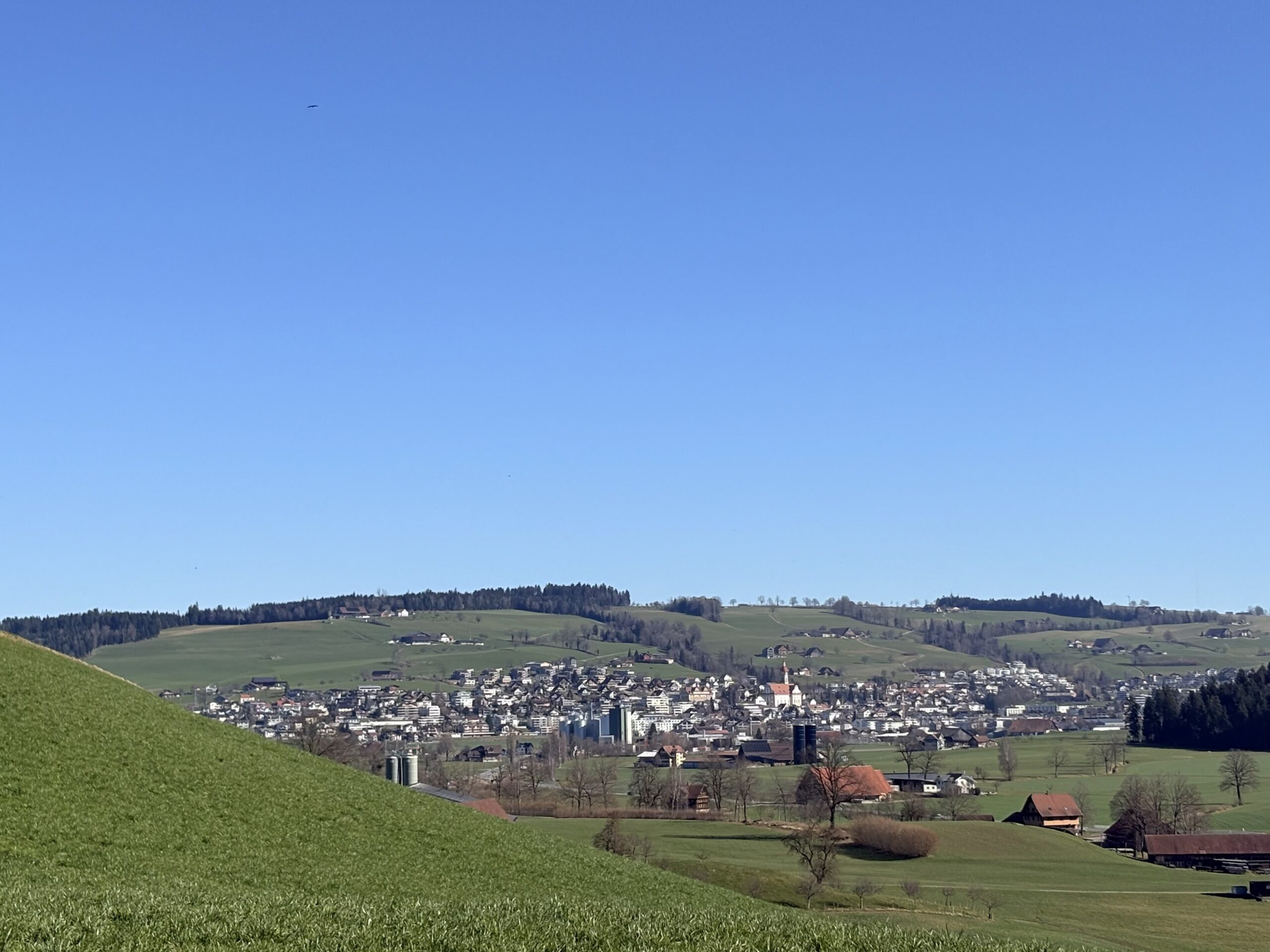 Ruswil LU: Fünfjähriges Mädchen auf Trottoir von Auto erfasst – erheblich verletzt