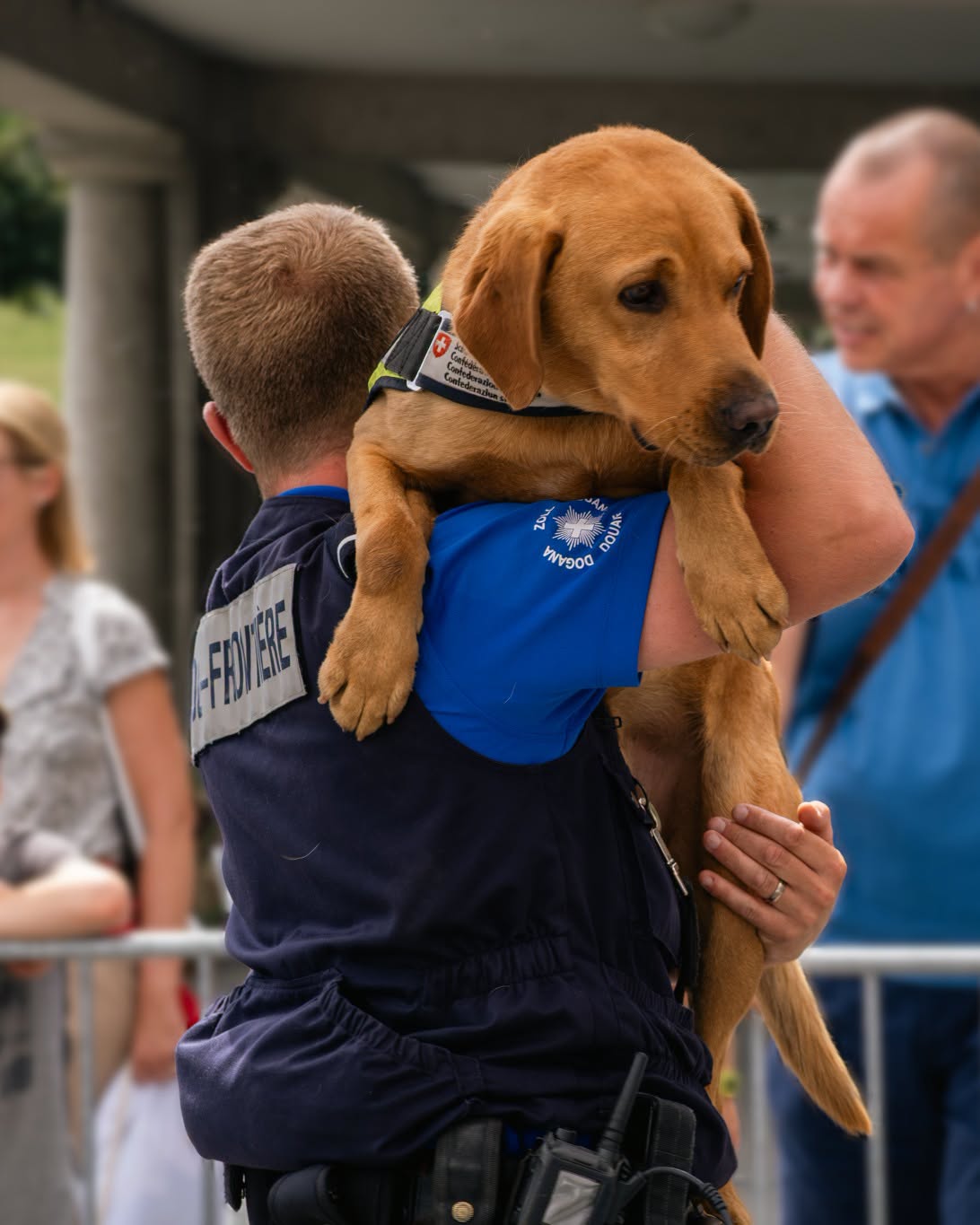 Kloten ZH: Zolltage am Flughafen Zürich – Diensthunde live im Einsatz erleben