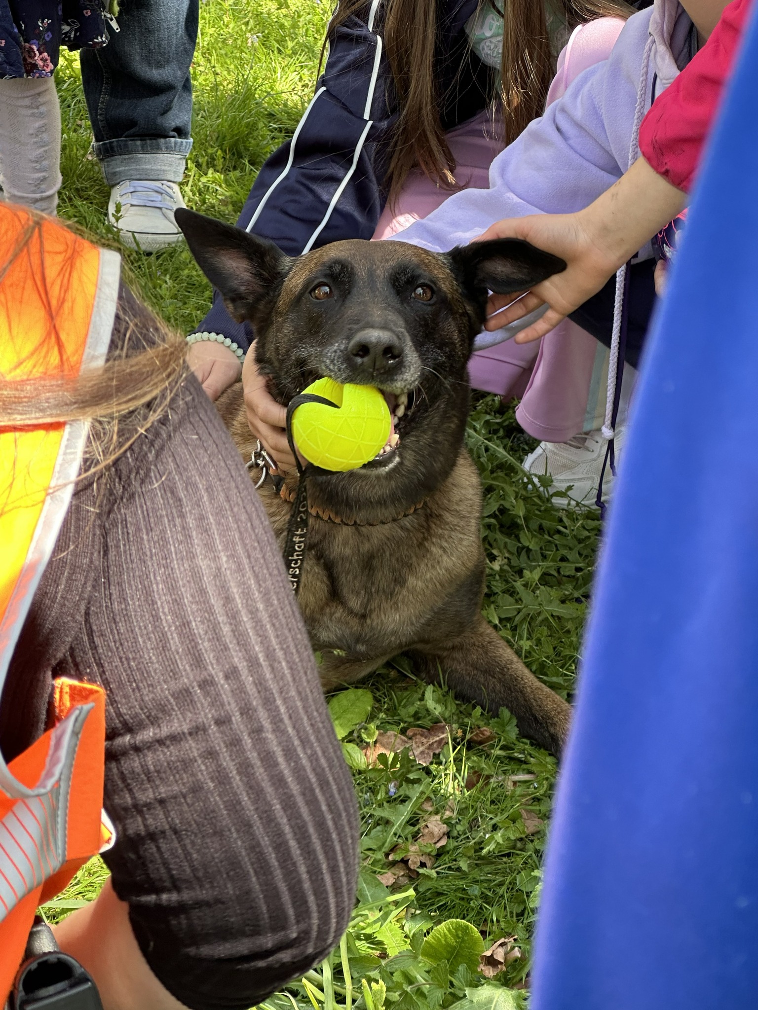 Pfäffikon ZH: Kinder blicken hinter die Kulissen – Polizei begeistert beim Ferienplausch