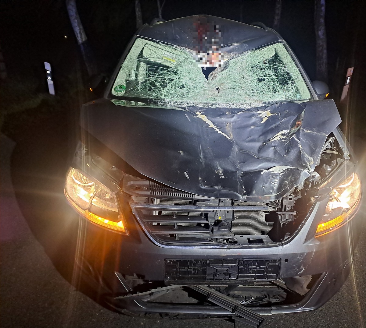 Ahlerstedt, Niedersachsen: Unfall mit freilaufenden Pferden – zwei Verletzte