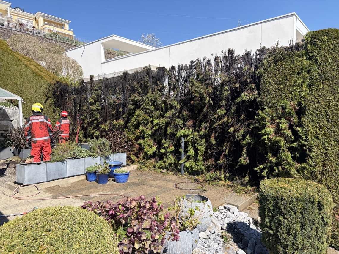 Unbekannt SG: Thuja-Hecke gerät bei Gartenarbeiten in Brand – hoher Schaden