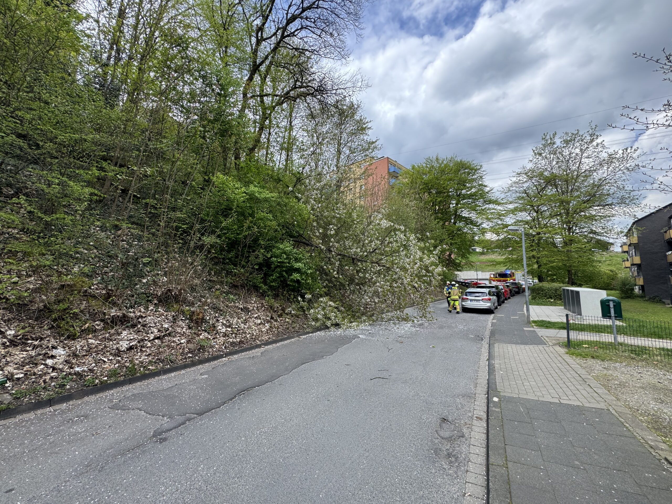 Herdecke, NRW: Abgebrochener Kirschbaum blockiert Strasse – Einsatzkräfte räumen Straße