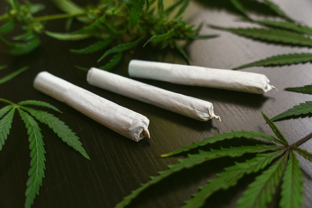 Ebersberg, Bayern: Polizei stellt über 7 Kilo Cannabis sicher – 50-Jähriger in Haft