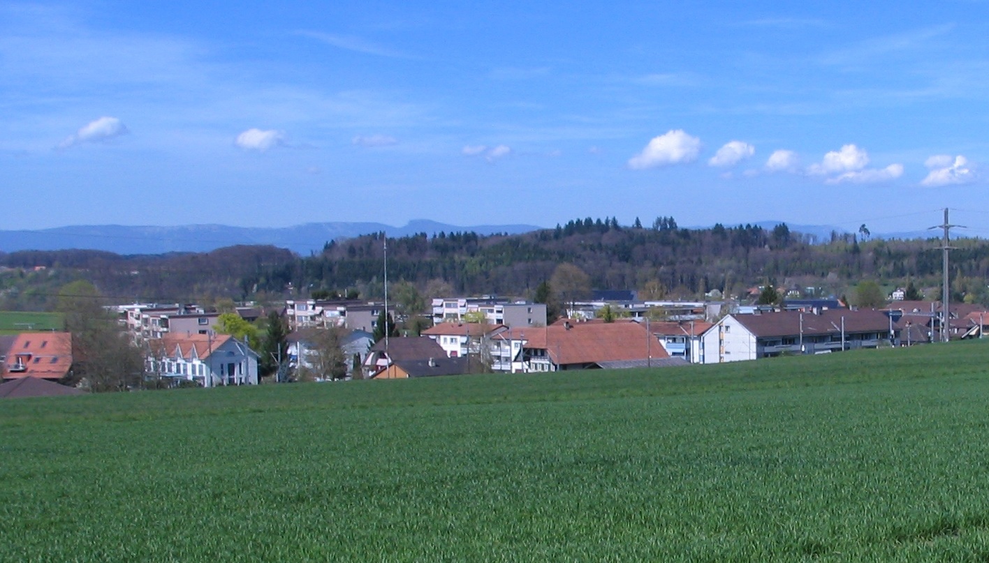 Moosseedorf BE: Minderjähriger flüchtet vor Polizei und prallt in Baum