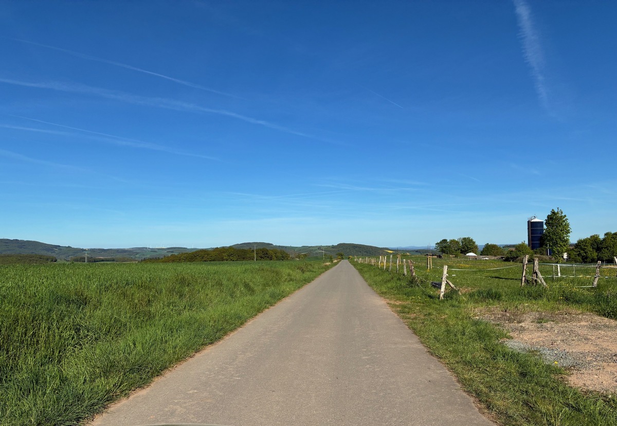Kusel, Rheinland-Pfalz: Autofahrer erschreckt Pferd – Reiterin von Pferd mitgerissen