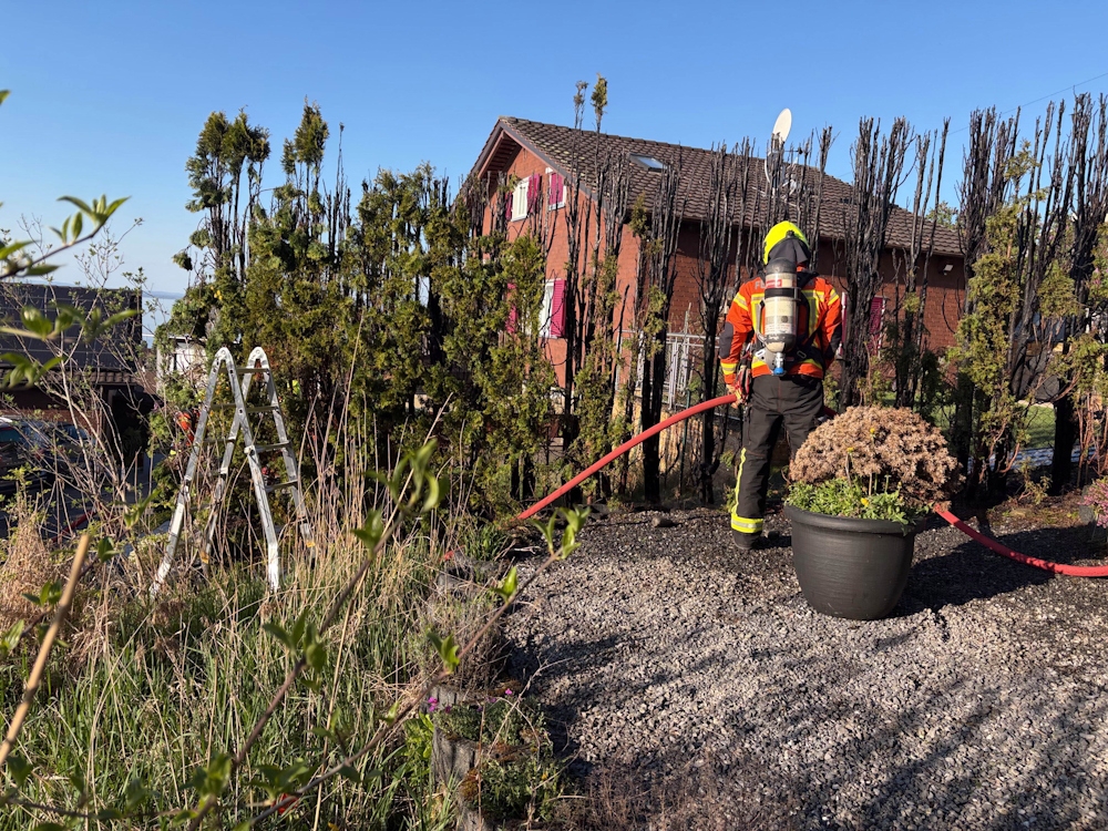 Rorschacherberg SG: Brand bei Gartenarbeit – Hecke steht plötzlich in Flammen