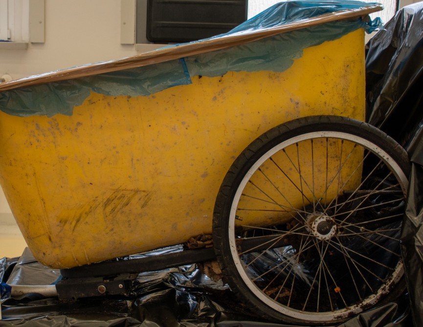 Rostock, Mecklenburg-Vorpommern: Mordopfer in Kiste entdeckt – Spur führt zu Täter