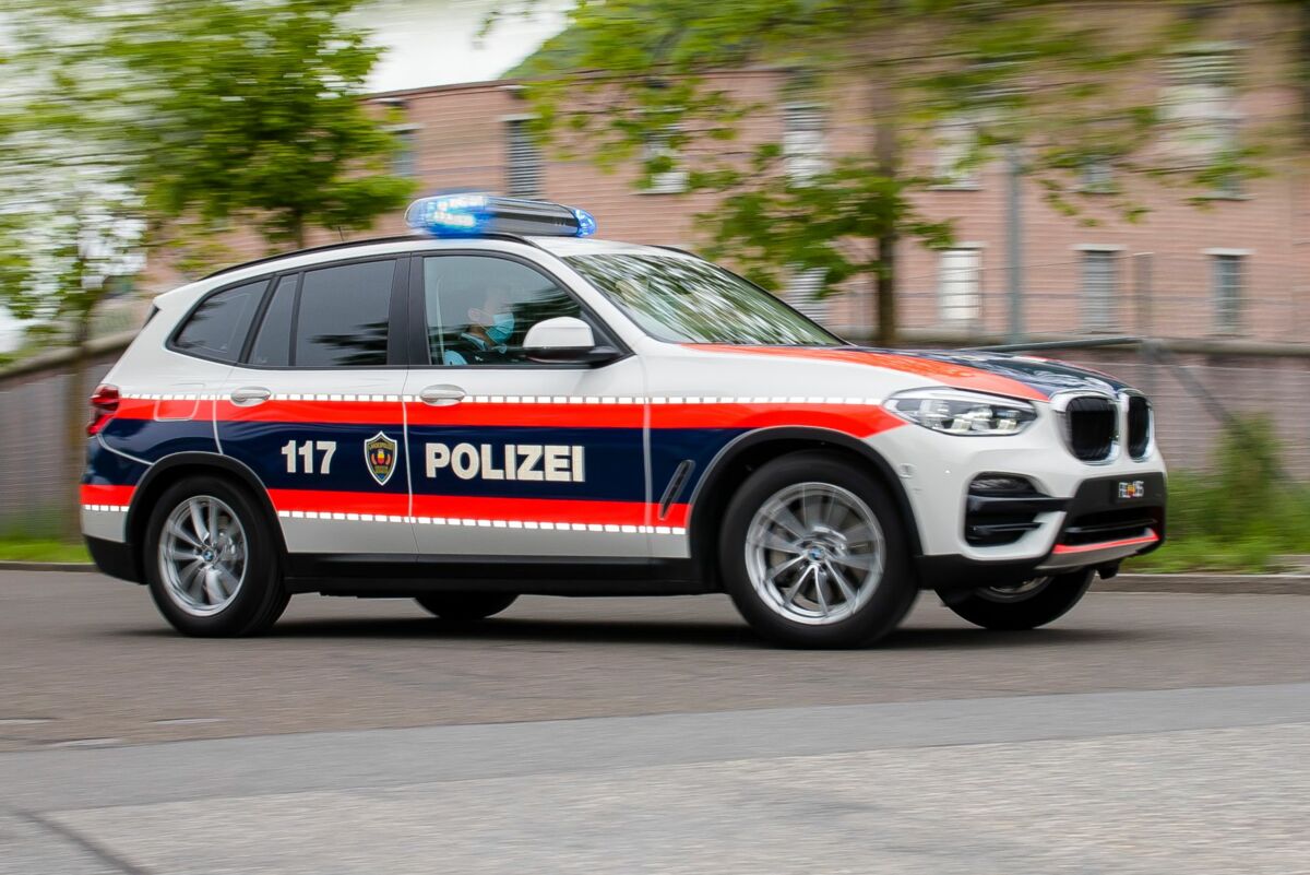 Liechtenstein: Reh und Biber überfahren, Diebstahl und Gewaltfälle übers Wochenende