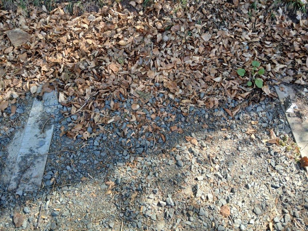 Waldfischbach-Burgalben, Rheinland-Pfalz: Neue Sitzbank gestohlen