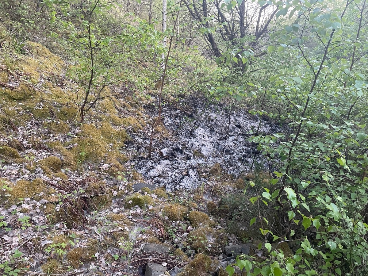 Pfeffelbach, Rheinland-Pfalz: Verdacht auf Brandstiftung bei Vegetationsbrand