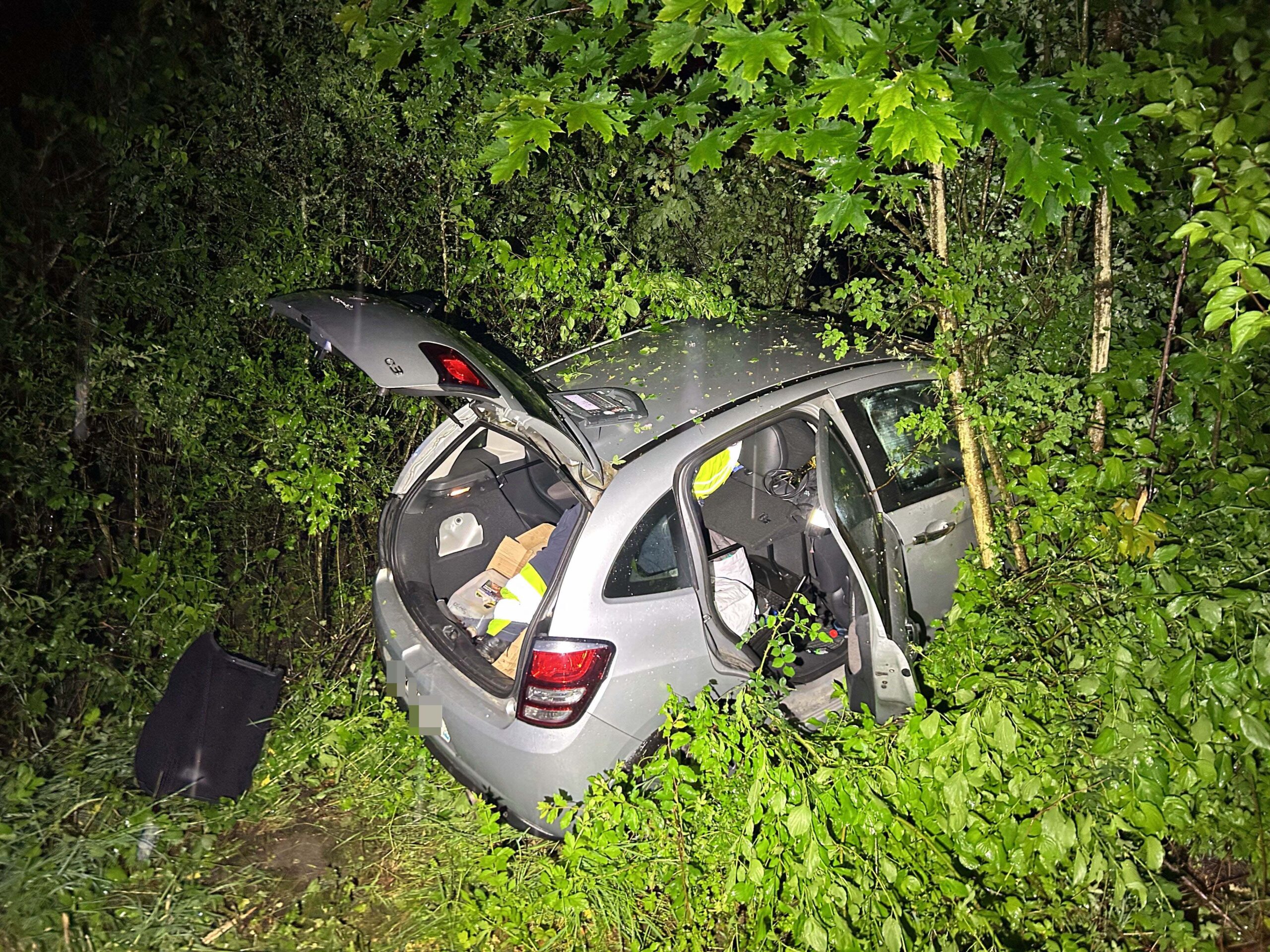 Rheinfelden AG: Selbstunfall bei A3-Anschluss – Fahrer landet im Dickicht