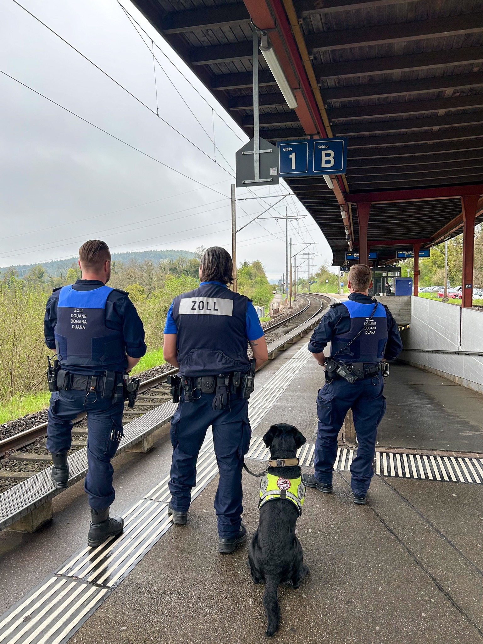 Zürich ZH: Diensthund Jazz unterstützt Zoll bei Kontrollen im Bahnverkehr
