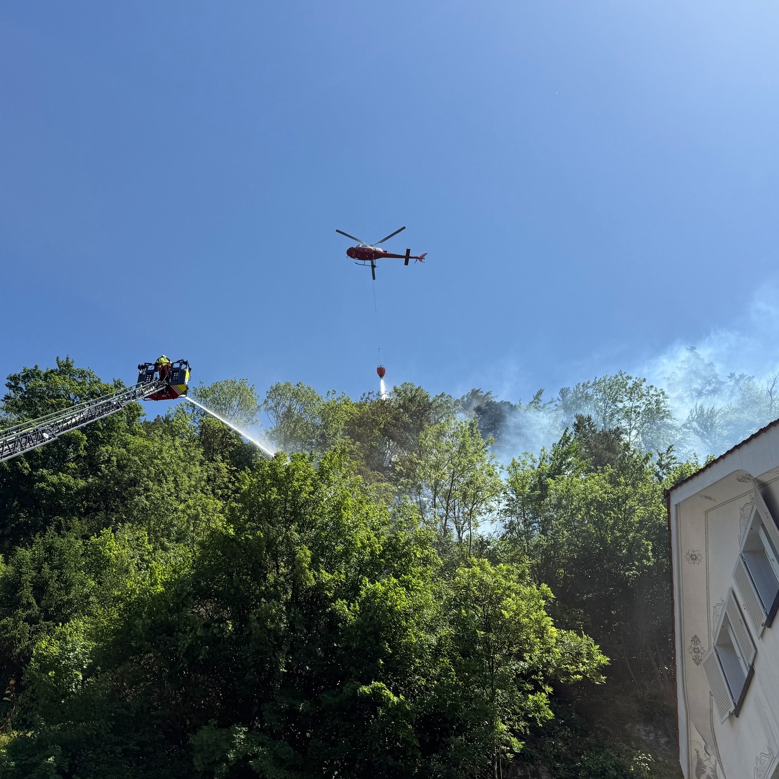 Chur GR: Feuer im steilen Schutzwald bedroht Quartiere – Helikopter verhindern Schlimmeres