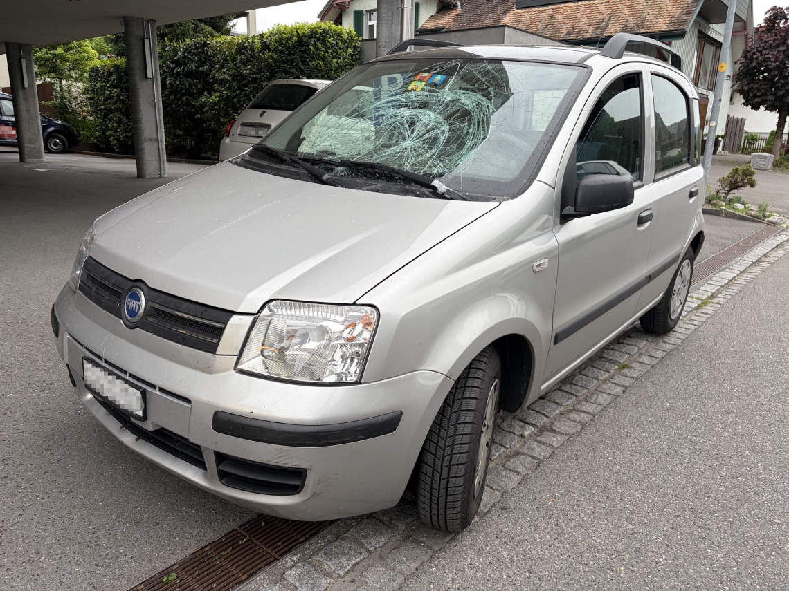 Widnau SG: Blinder Fussgänger mit Hund von Auto erfasst – Hund bleibt unverletzt