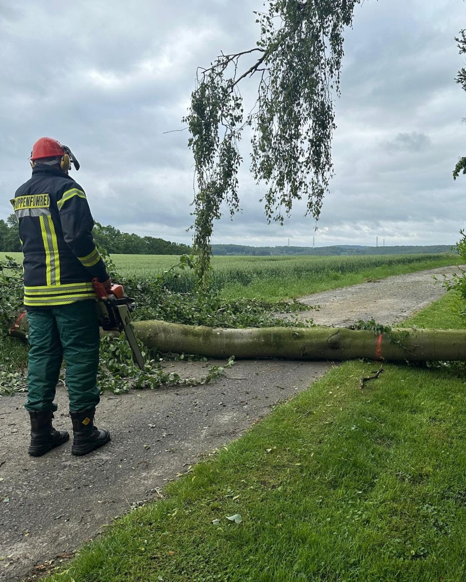 Ense, Nordrhein-Westfalen: Gewitterfolgen schlagen zu – Baum