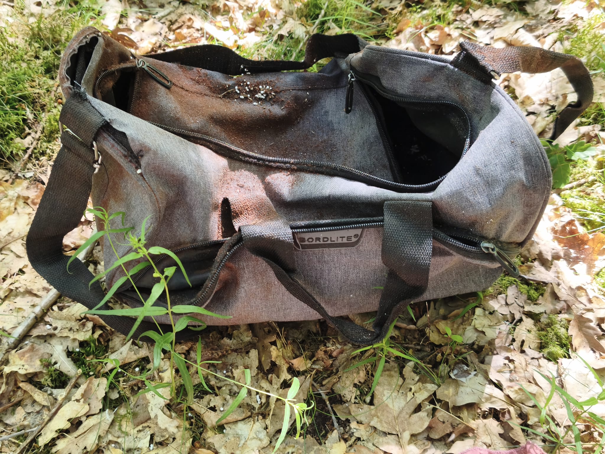 Kargow-MV-Designerkleidung-soll-M-lls-nder-im-Wald-entlarven
