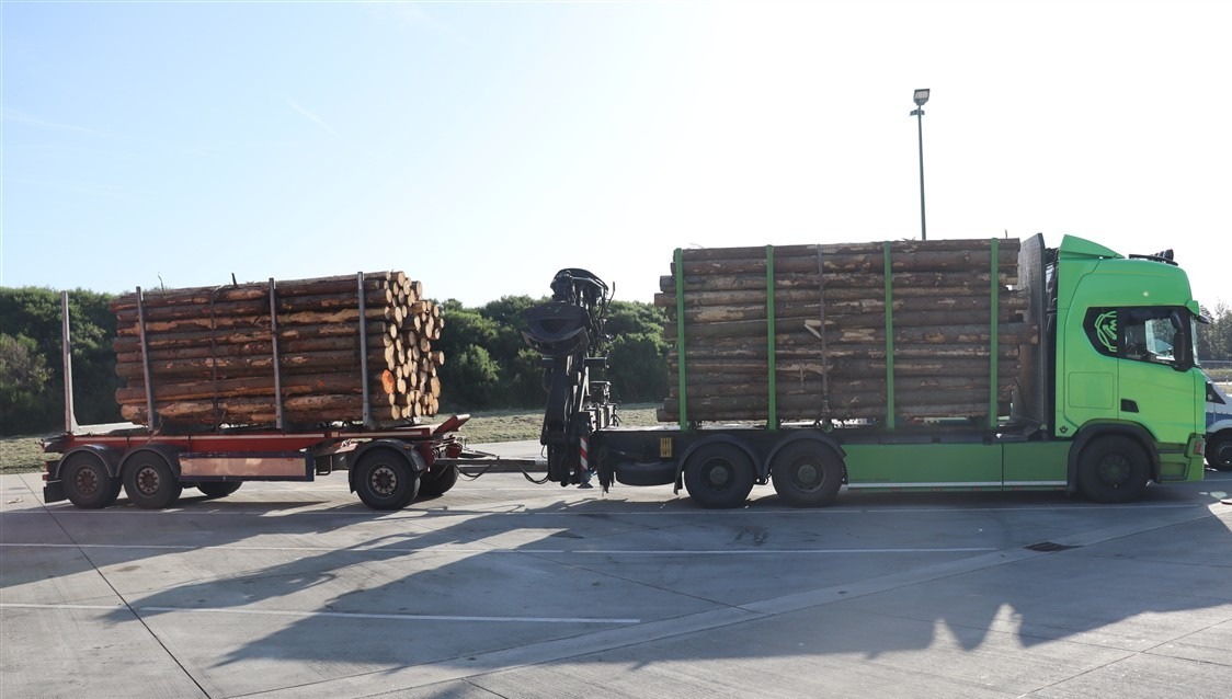 Longkamp, Rheinland-Pfalz: Holztransporter mit massiver Überladung gestoppt