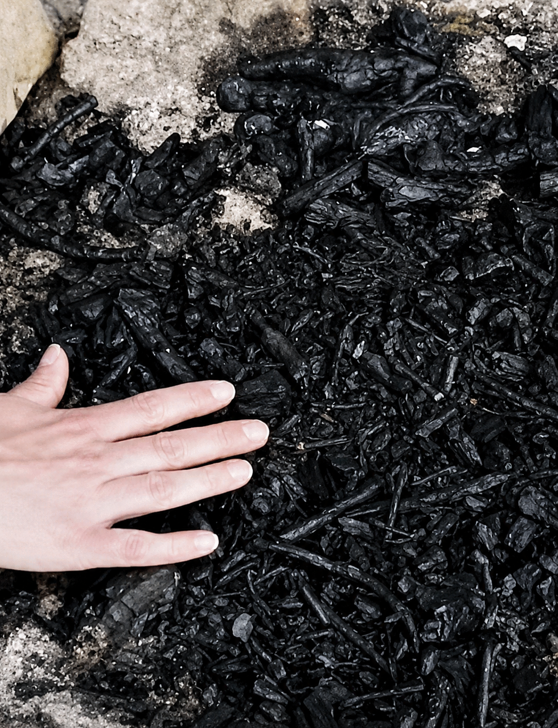 Kanton-Bern-Waldbrandgefahr-erheblich-Kanton-warnt-vor-offenem-Feuer