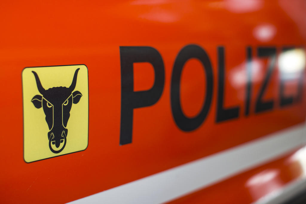 Sisikon UR: Person stirbt nach Kollision mit Baust