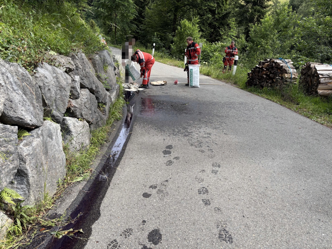 St.Gallenkappel SG: 120 Liter Hydrauliköl laufen aus – Waldgebiet vor Schaden bewahrt