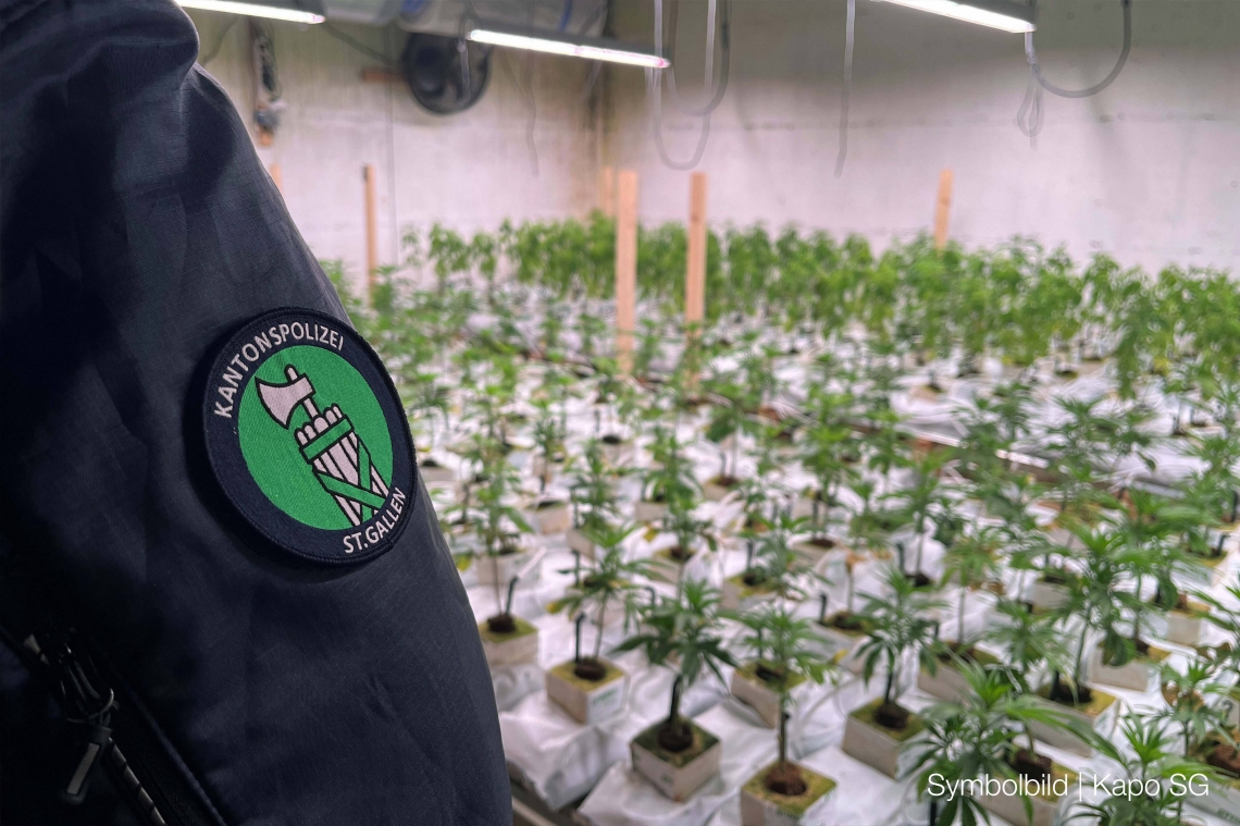 St-Gallen-SG-Polizei-hebt-Hanfplantage-mit-120-Pflanzen-und-35-Kilo-Marihuana-aus