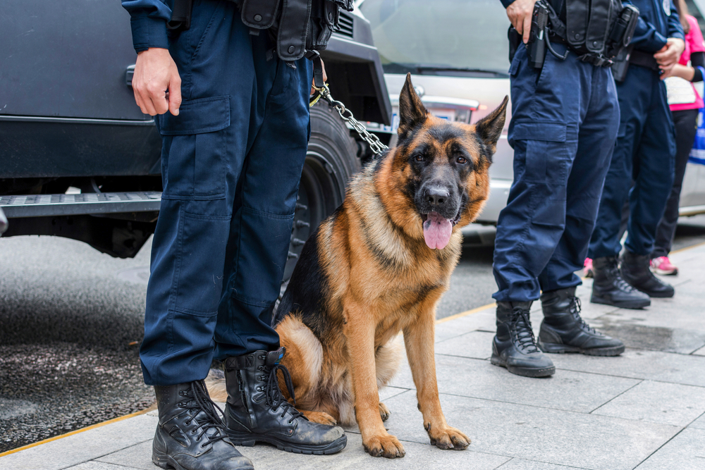 Linz, OÖ: Pfefferspray und Taser wirkungslos – Pol