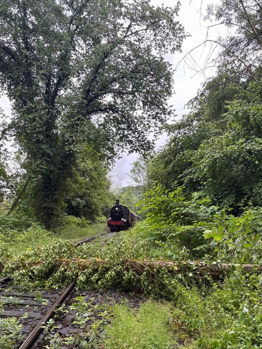 Hattingen, Nordrhein-Westfalen: Umgestürzter Baum blockiert 